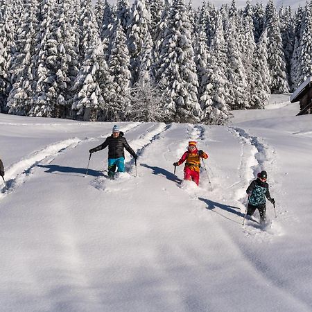 Natur- & Wanderhotel Tuxertal Екстериор снимка
