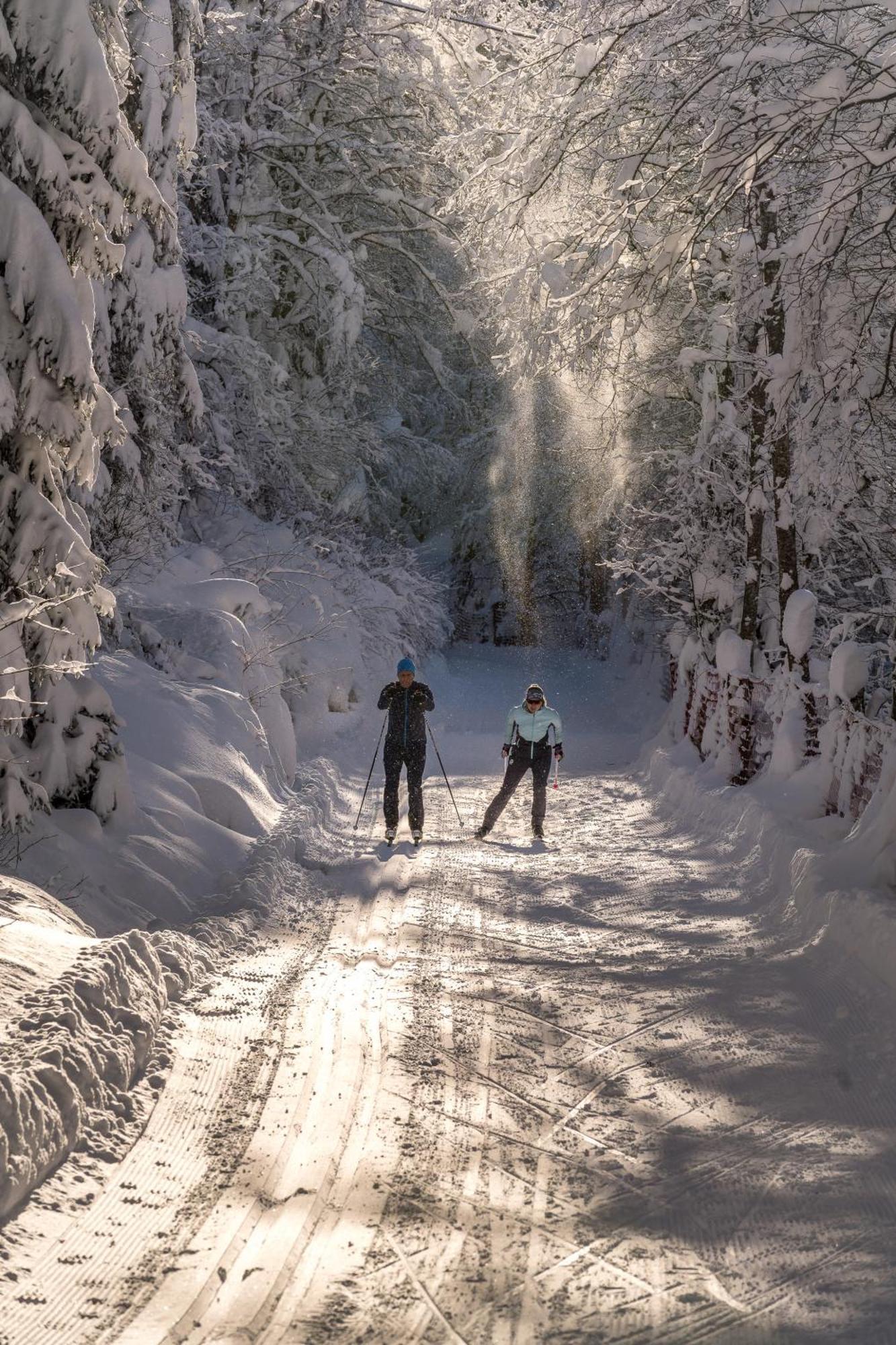 Natur- & Wanderhotel Tuxertal Екстериор снимка