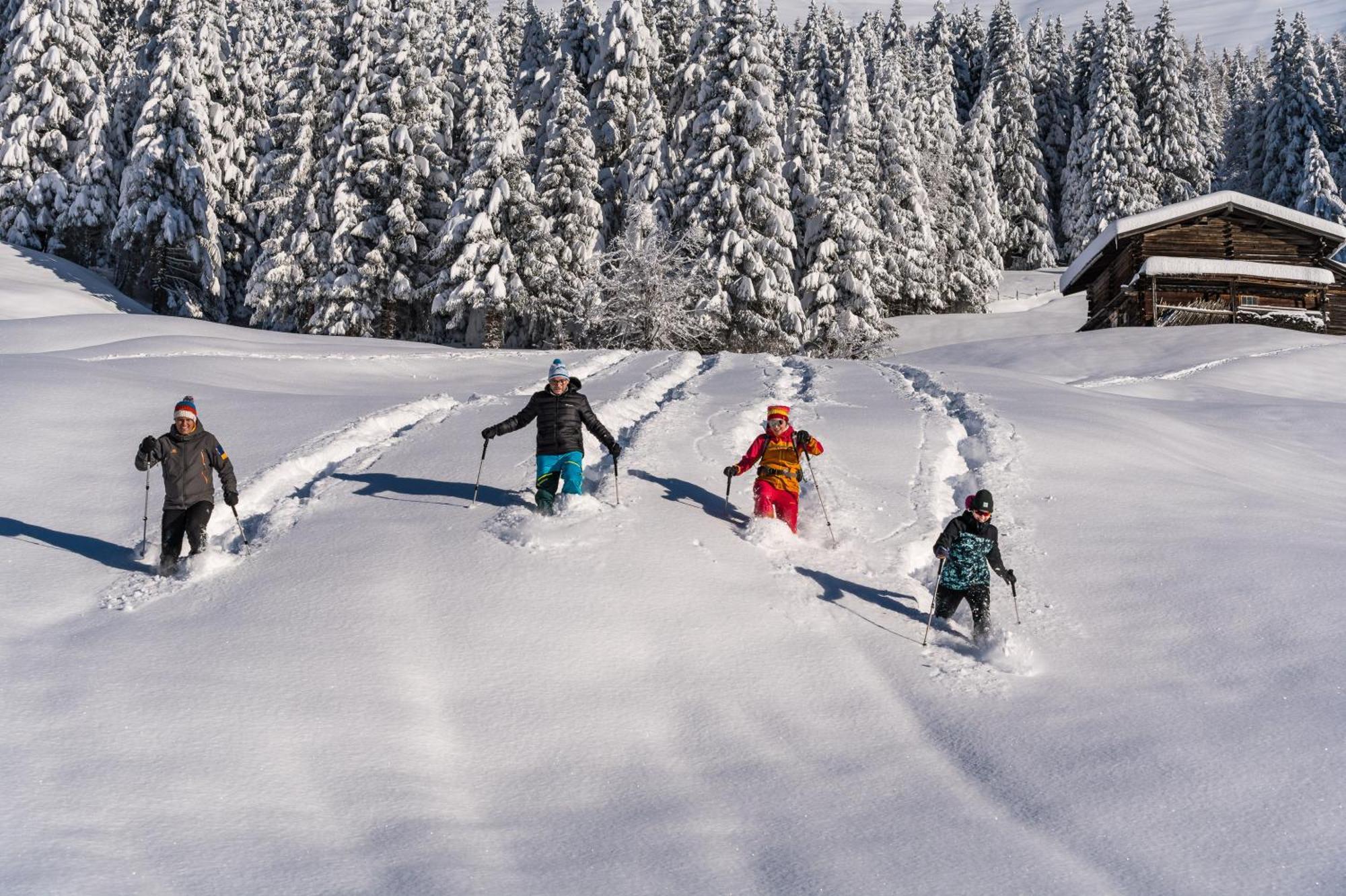 Natur- & Wanderhotel Tuxertal Екстериор снимка